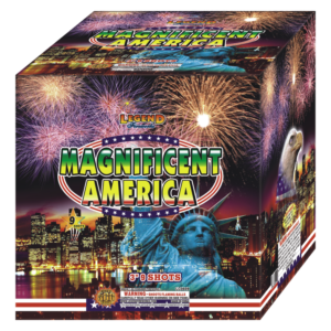 MAGNIFICENT AMERICA