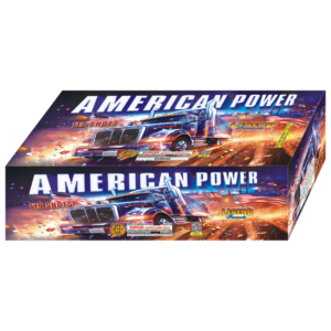 AMERICAN POWER