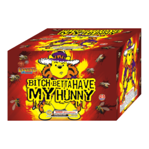 BITCH BETTA HAVE MY HUNNY